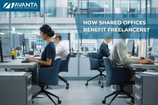 How Shared Offices Benefit Freelancers?