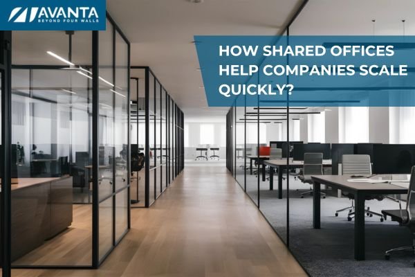 How Shared Offices Help Companies Scale Quickly?