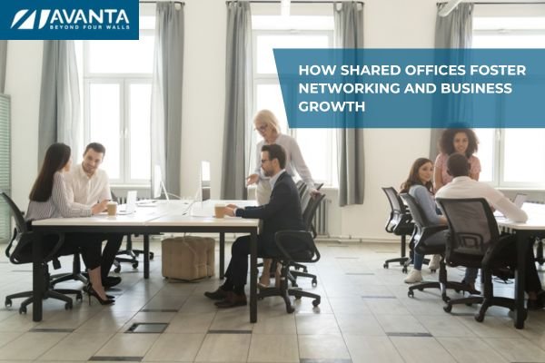 How Shared Offices Foster Networking and Business Growth