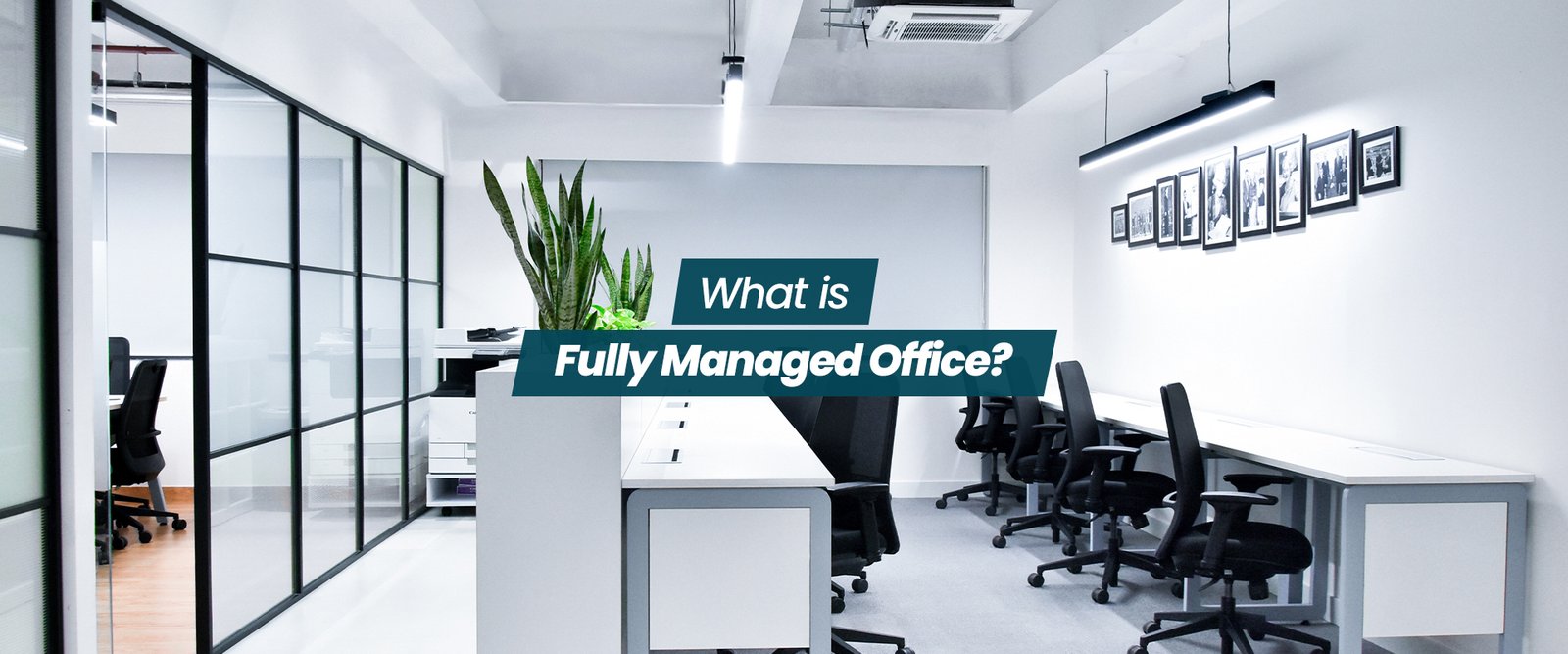 Fully Managed Office in Delhi: What's Included, Real Costs & Why Businesses Choose It